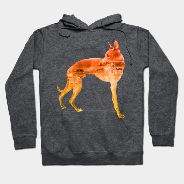 Orange & Yellow Waves Whippet Hoodie by AmyHuntPhotos